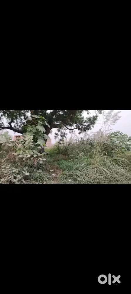 250 gaj Plot for sale