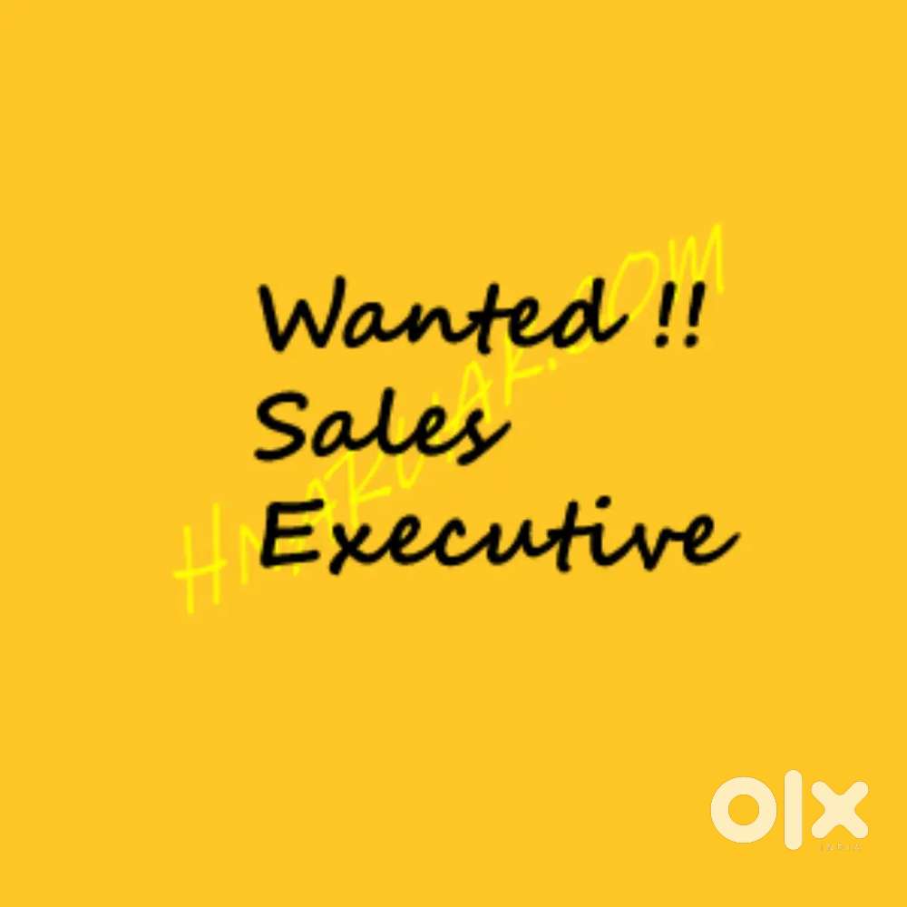 Sales executive