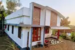 Kollad - Paruthumpara RD - 10.5 Cent , 1200 Sqft , 3 Bed Room House.