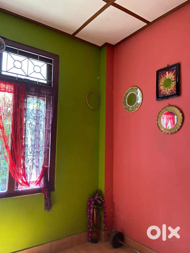 Boys PG near downtown hospital