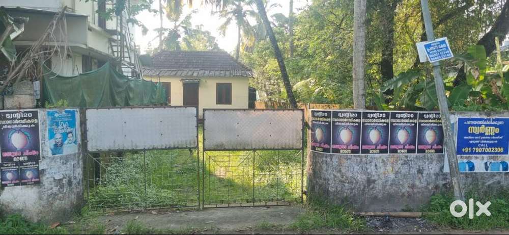 85 cents Premium Waterfront-Area Plot for Sale – Kumbalam, Kochi