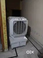 Best cooler