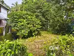 15 CENT LAND FOR SALE MEENANGADI