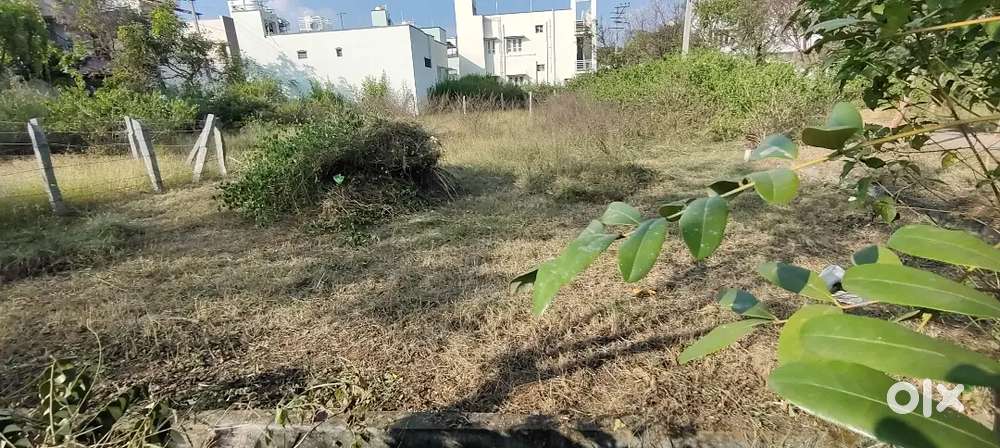 Muda aproved site for sale