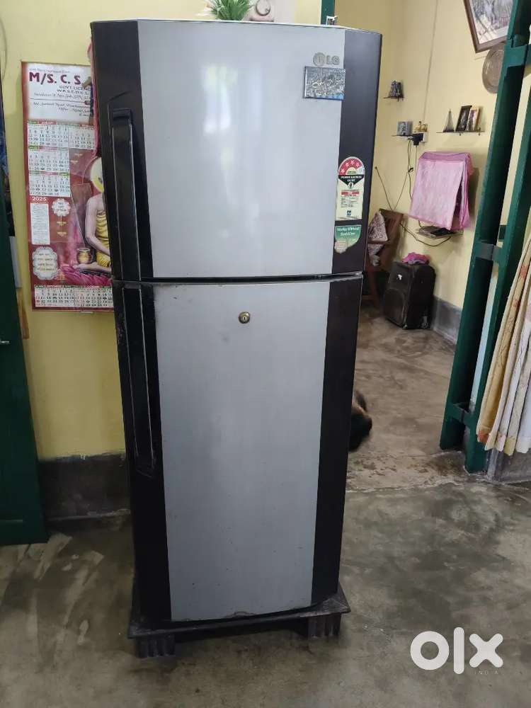 Lg 240 Ltr 4 star double door fridge