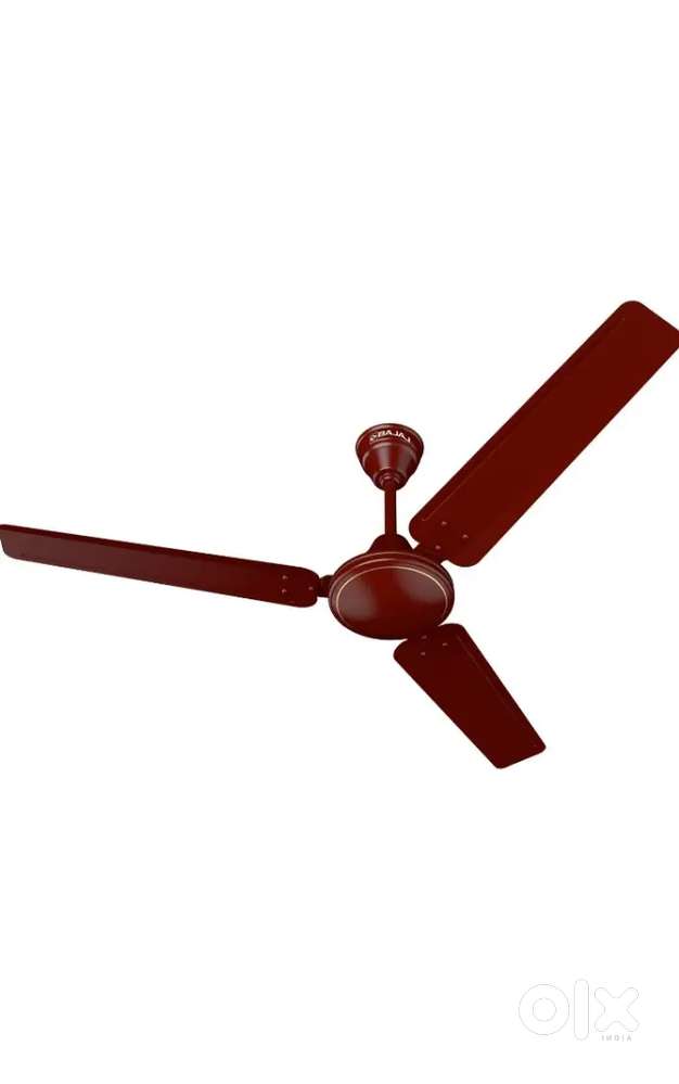 Celling fan orient