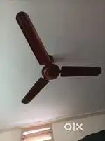 Celing fans(only fan)