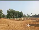 SQ YARD 13999/- 8 KM FROM PENDURTHI JUNCTION VMRDA PLOTS FOR SALE