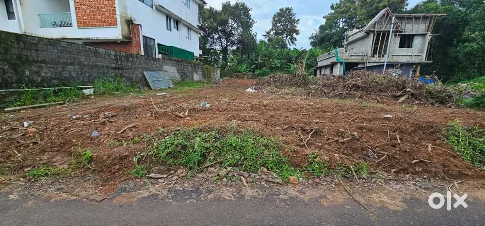 11.3 cent of original land in non flooded area near to cochin airport