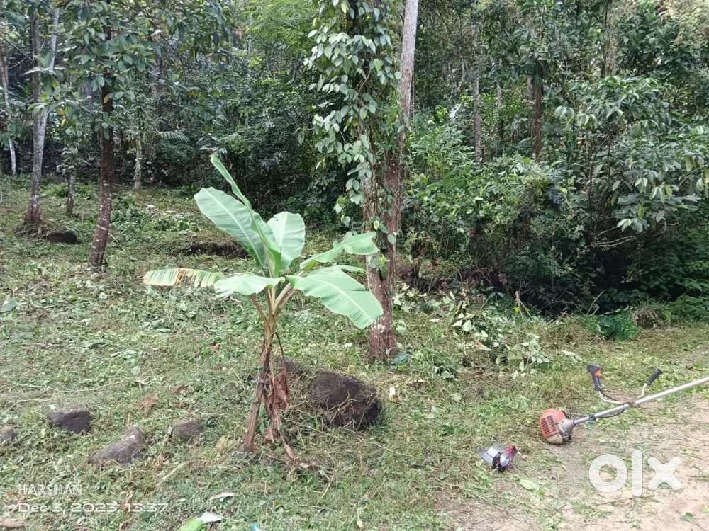 Land for sale vagamon idukki kerala