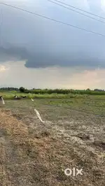 4.5 Katha Land (Bhabta,Murshiabad)