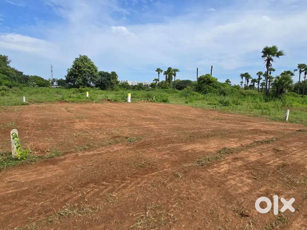 NAGARJUNA UNIVERSITY BESIDE PLOT FOR SALE.