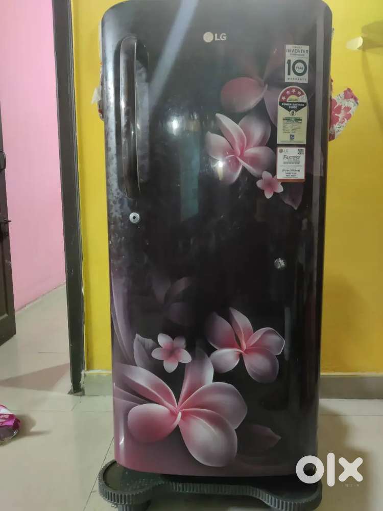 LG 190 litres fridge - Available from Oct 31