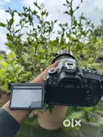 Canon 80D with 50mm lens bill box