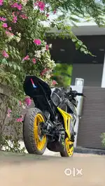 Bs4 rc390 2019