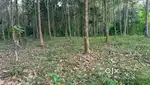 സ്ഥലം വില്പനക്ക് 50 Cent Urgent sale
