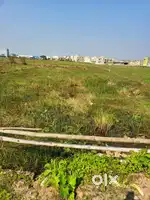 Plot for sell