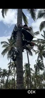 Coconut tree climbing petrol machine