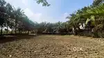 1.43 Acres farm land for sale