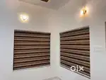 WINDOW ZEBRA BLINDS.