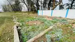 140 SQ.YD Plot Available for sale in Nirmal bagh