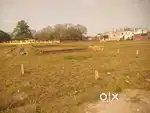 Registry plot. Dangodi back said  T O  P Thana  & new vegetable market