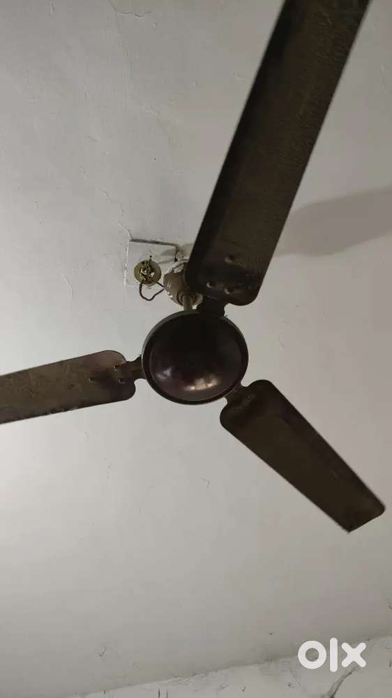 Calling fan
