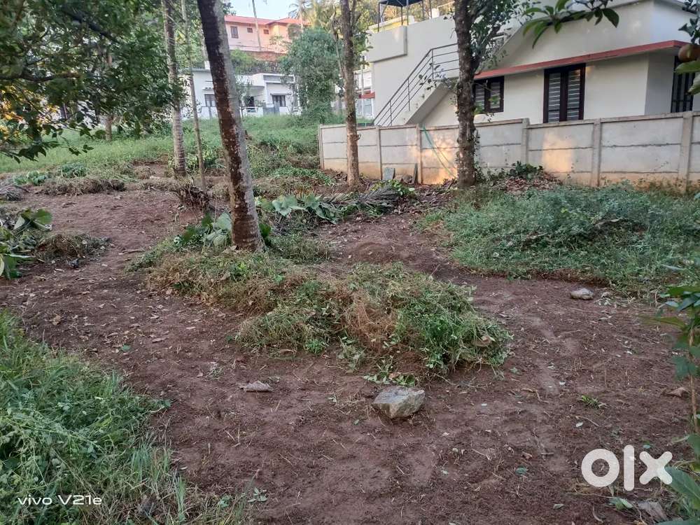5.35 cent plot for sale at perumpuzha to keralapuram ROAD