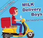 Milk Delivery Boy