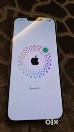 iPhone 13 Pro Max | 256 GB | 1 Year Old | No Scratches