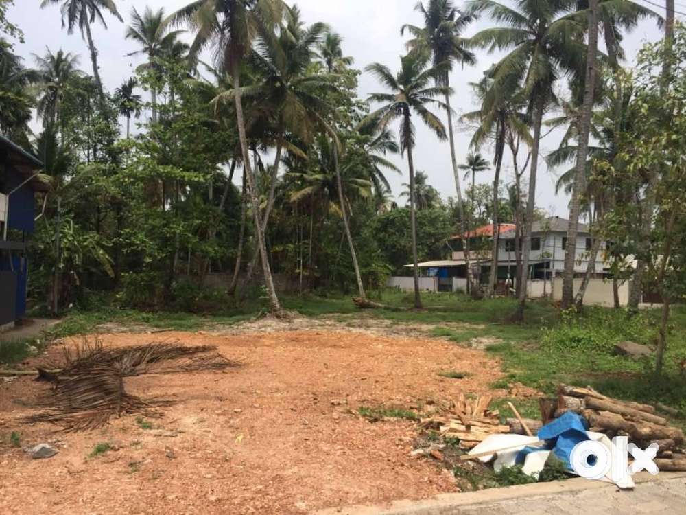 Residential Land for sale in Maradu