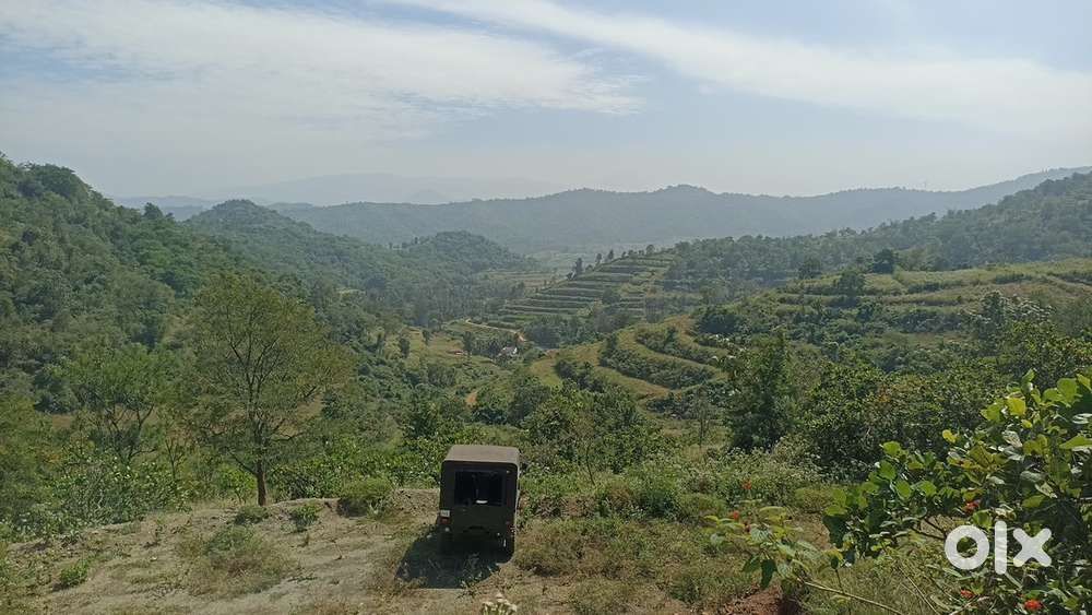 3 acres of land in attappadi 20,000/- per cent