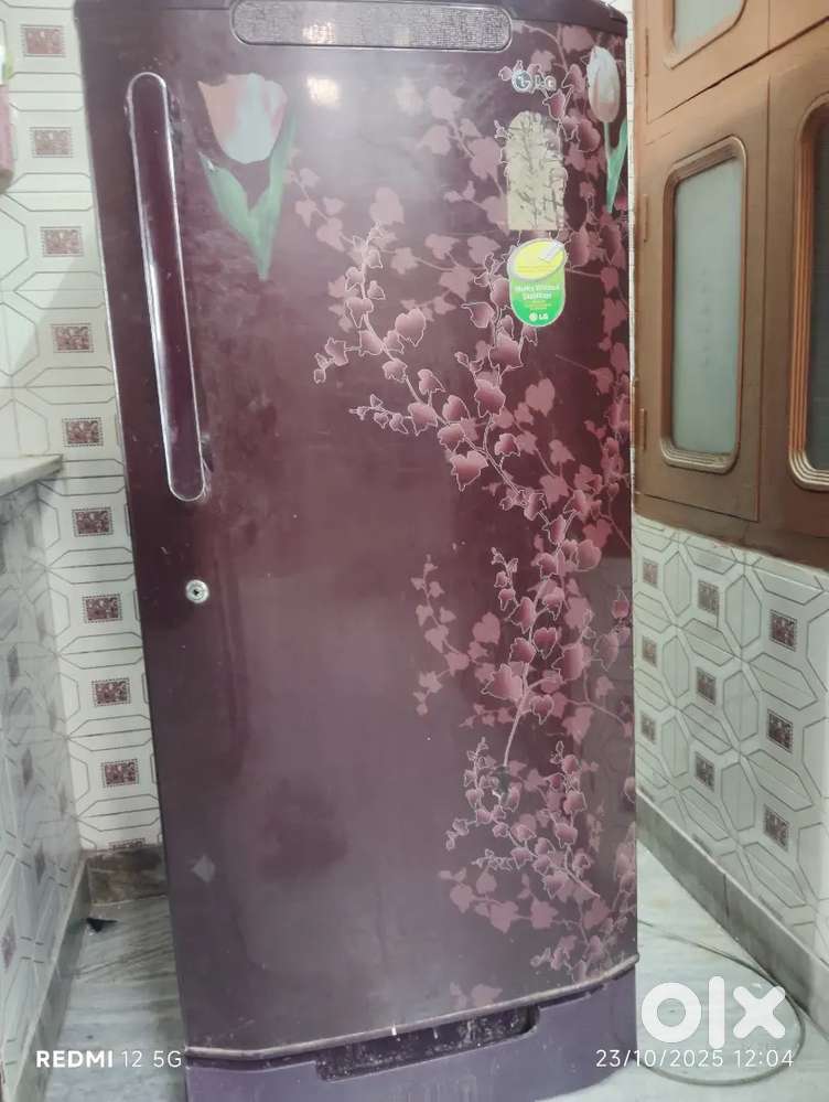 OLG refrigerator