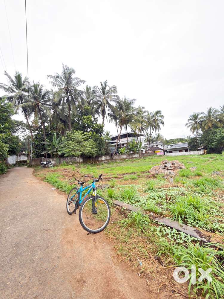 Plot for sale pirayiri mepprambu 12cnt