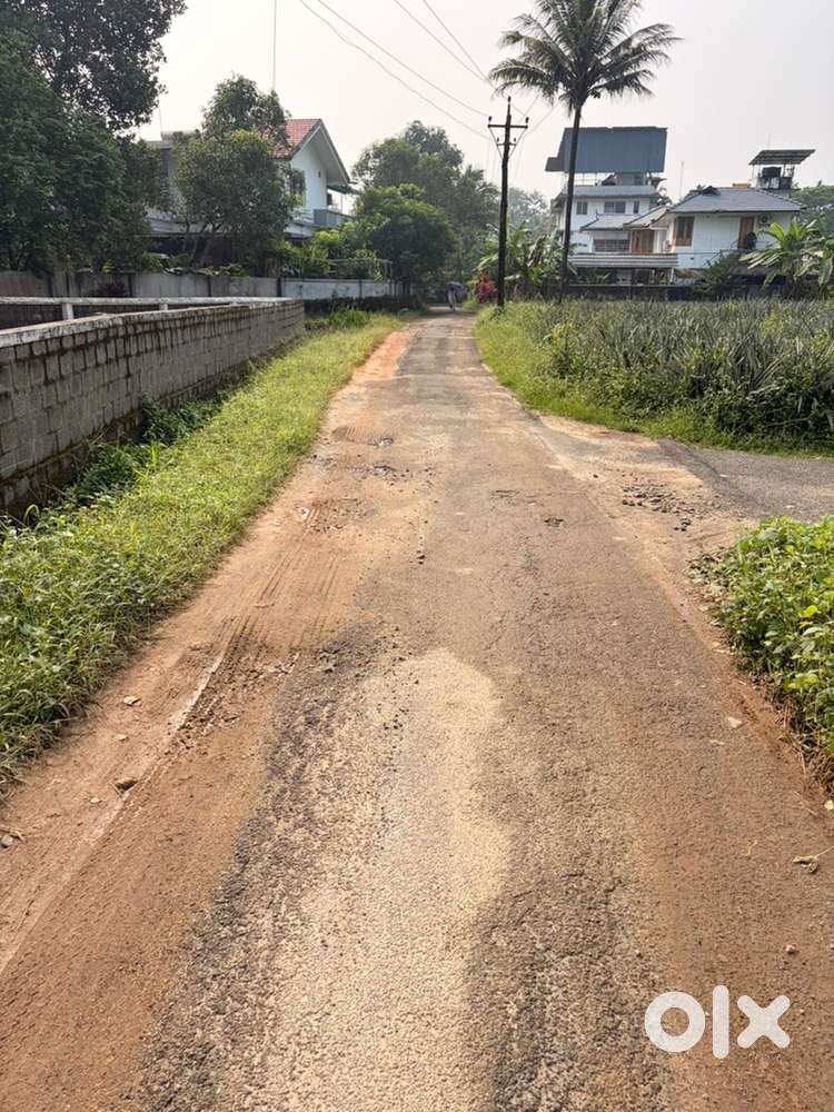 Kothamangalam kozhippilly