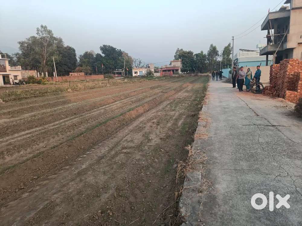 2 bigha land sale ke liye aai hai