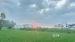 4 Biswa Land for sale with peacefull Surroundings