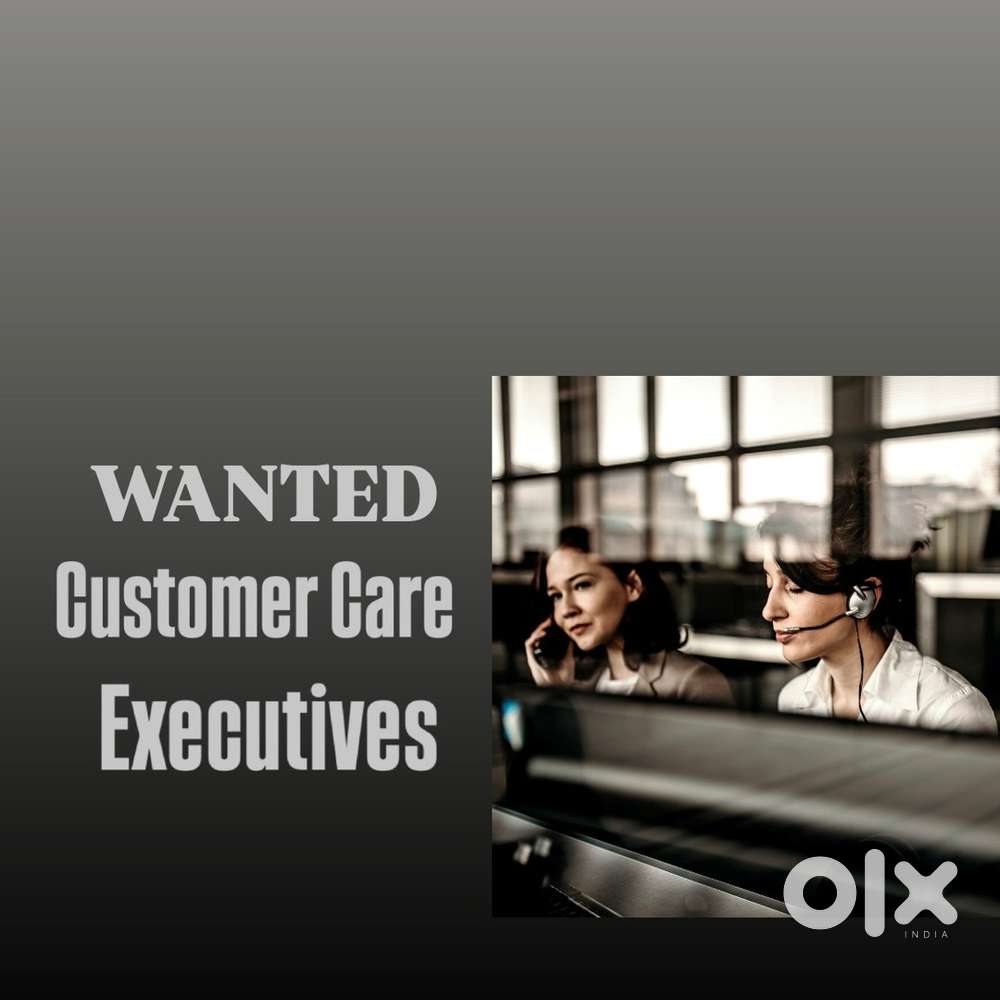 Wanted Customer Care Executives