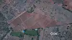 Zero Maintenance Farmland in Gauribidanur with Amenities