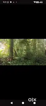 4356 square feet land for sale