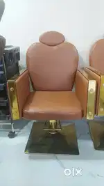 Salon Chair