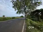 Road Side Land 77.8 dismil