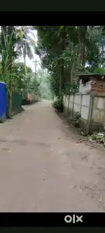 Land for Sale Near Ashtamudi Lake- Negotiable