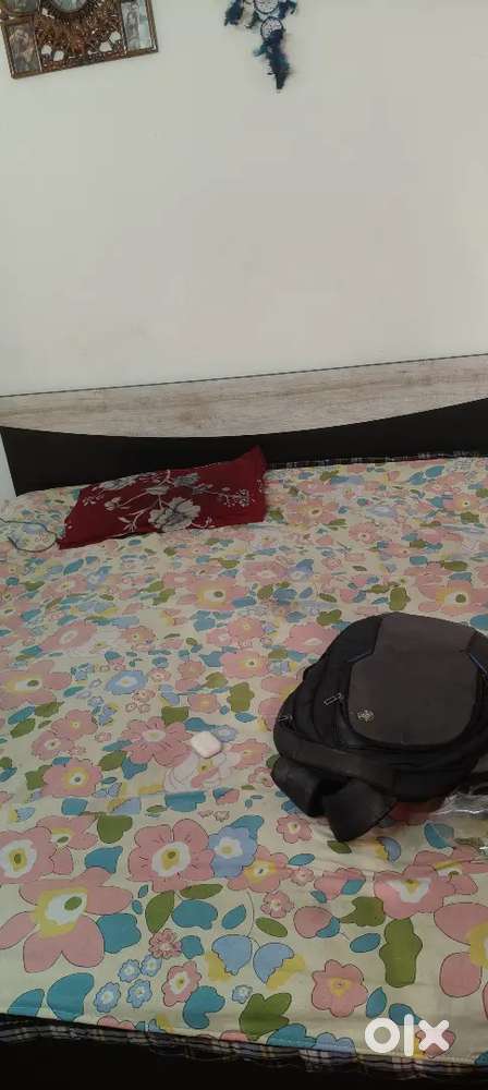 Bajaj microwave,  gas , fridge, double bed palang