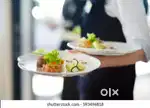 Required - Helper // Waiter // Captain // Manager