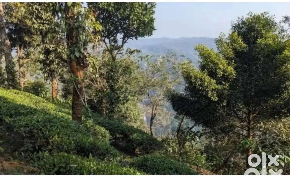 75 cent land for sale