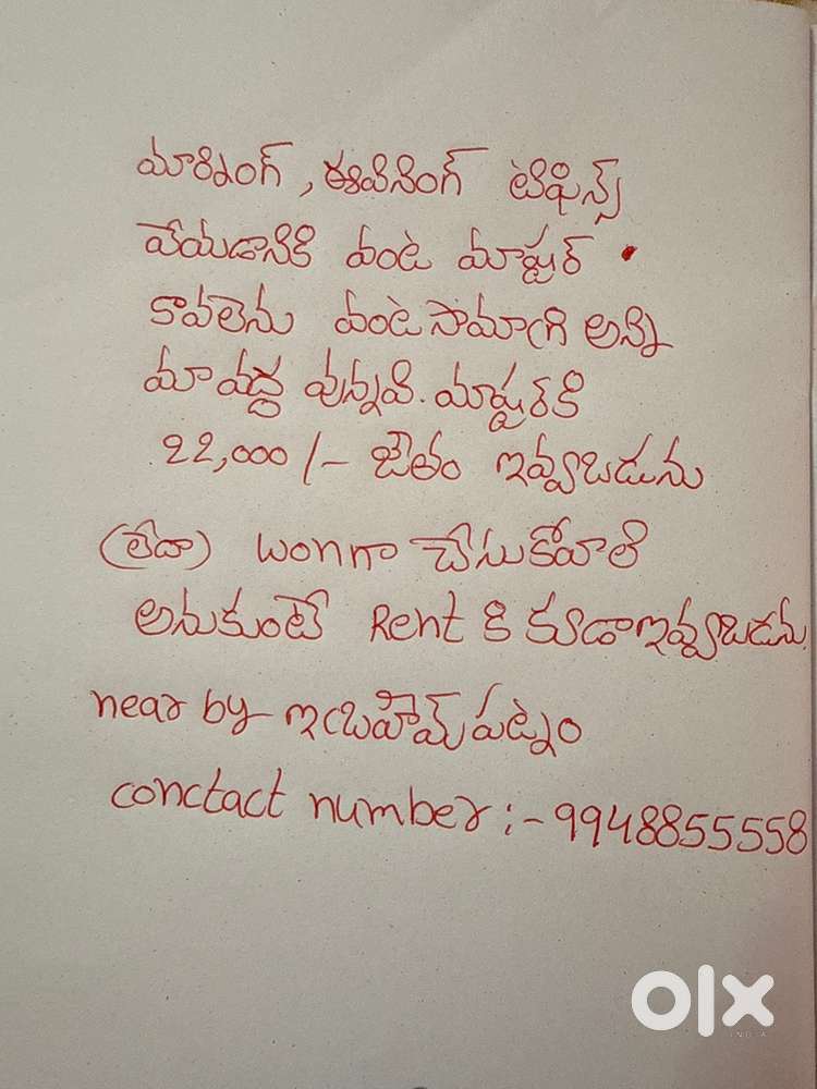 Tiffins morning time evenings time