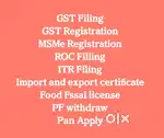 GST Filing and Registration, MSMe Registration, Pan apply, PF claim
