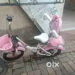 Cat bicycle