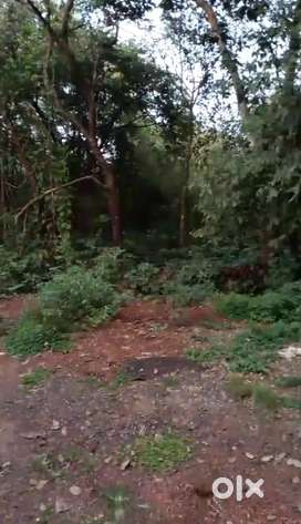 Settlement plot available for sale in Aldona